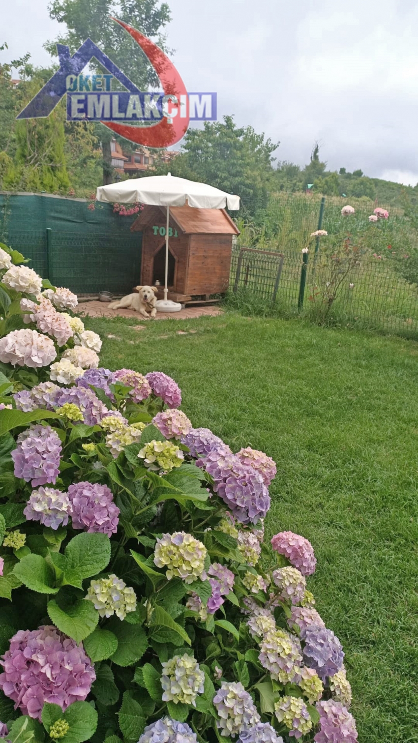 LÜKS VİLLAMIZ YENİ SAHİBİNİ BEKLİYOR