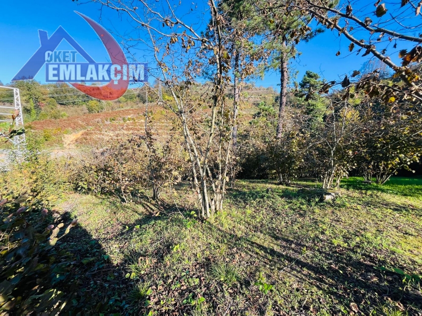 KANDİLLLİ AÇIK HAVA SOKAKTA SATILIK ARSA